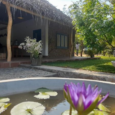 Gangewadiya Gange Wadi Wilpattuヴィラ エクステリア 写真